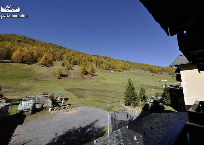 Casa Florin Giumel By *